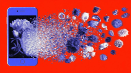 Our love-hate relationship with AI slop