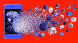 Our love-hate relationship with AI slop