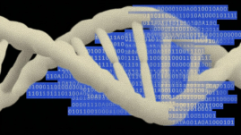 One startup's quest to make a DNA language model