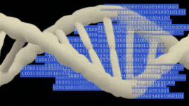 One startup's quest to make a DNA language model