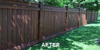 Fence Staining After Image