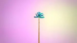 sentindo se nas alturas