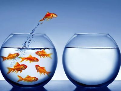 O Que é Sucesso na Visão dos Grandes?