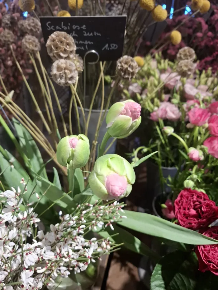 Schnittblumen und Sträuße