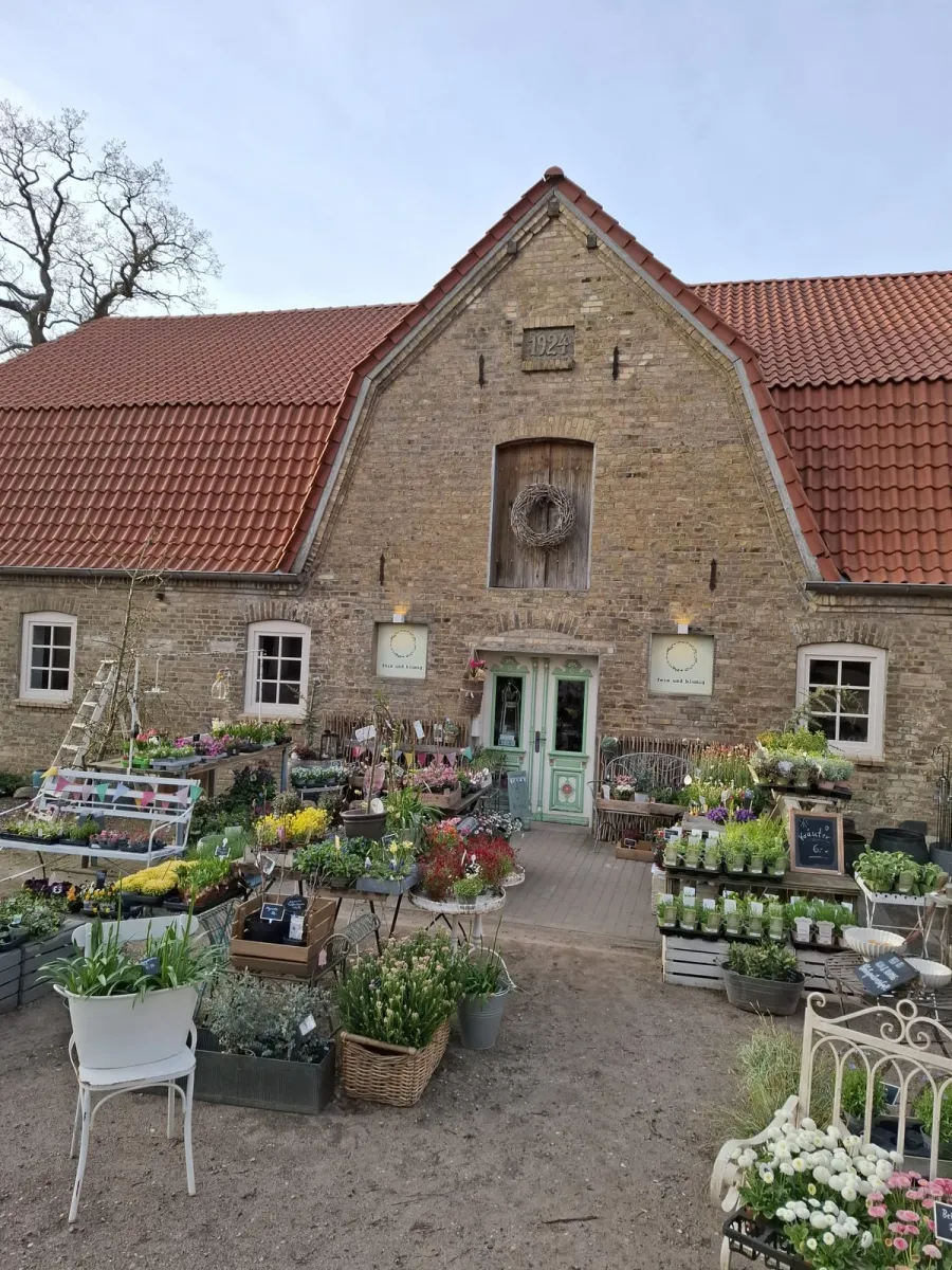 Der Hof von fein und blumig in Steinfeld, erbaut 1924