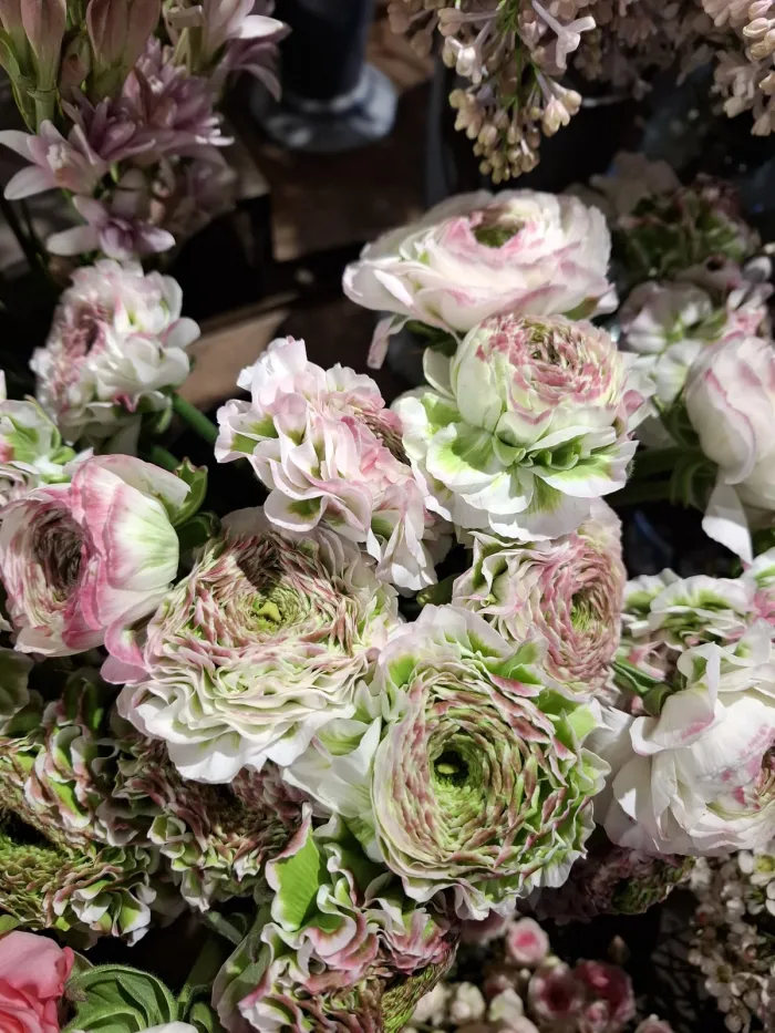 Schnittblumen und Sträuße