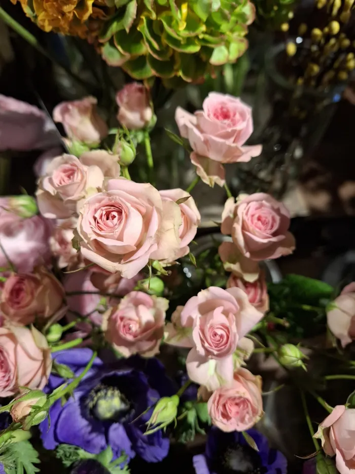 Schnittblumen und Sträuße