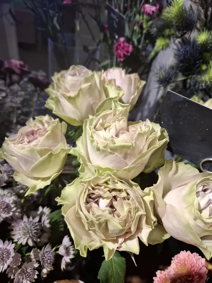 Schnittblumen und Sträuße