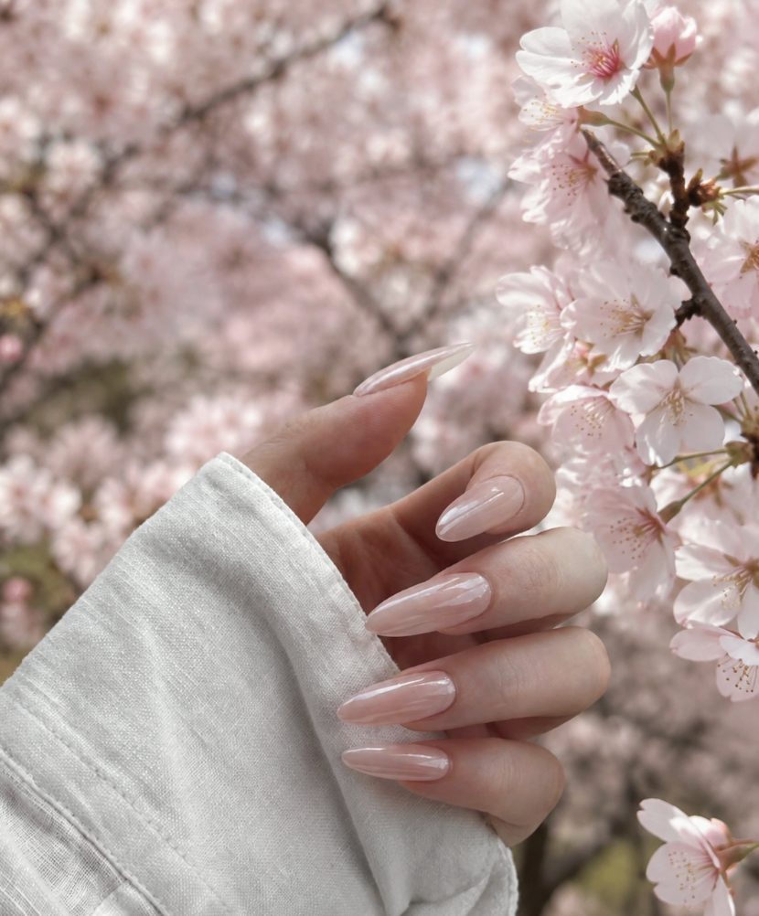 Soft pink manicure with cherry blossoms for a home nail studio portfolio