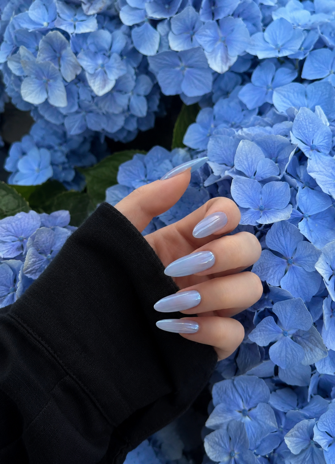 Blue manicure with flowers for a home nail studio guide