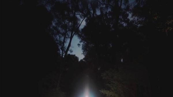 Gardens are always for the future