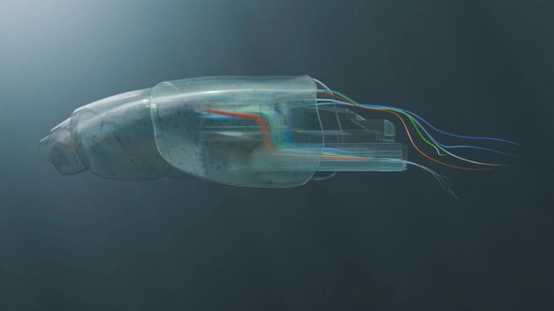 cambrian_explosion_2.0