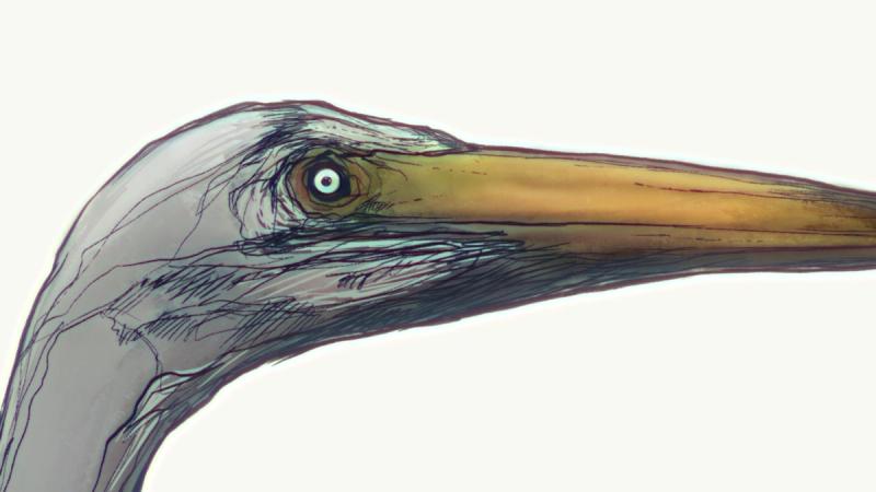 Something with Plutonium	