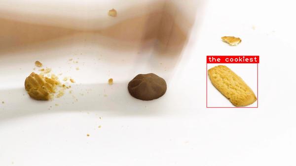 The Cookiest Cookie