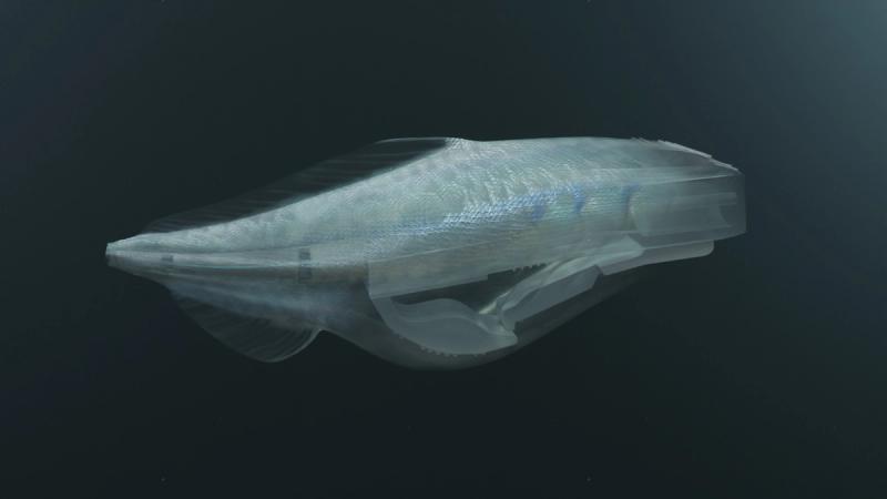 cambrian_explosion_2.0