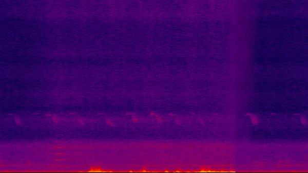 Being Numerous: Averno