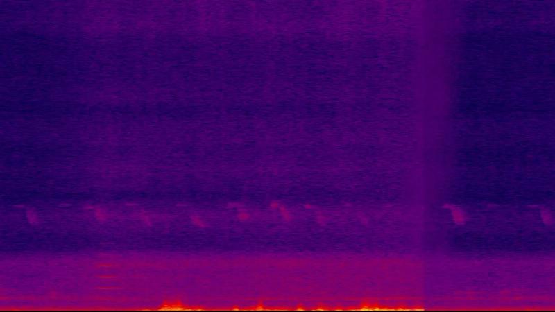 Being Numerous: Averno