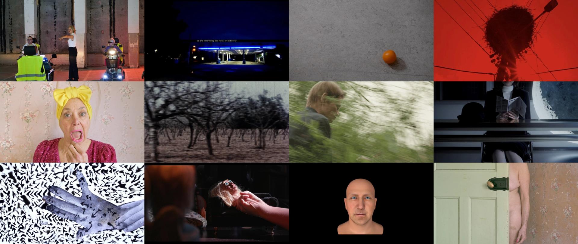  Public Shorts: Batch 2 - Filter Feeders