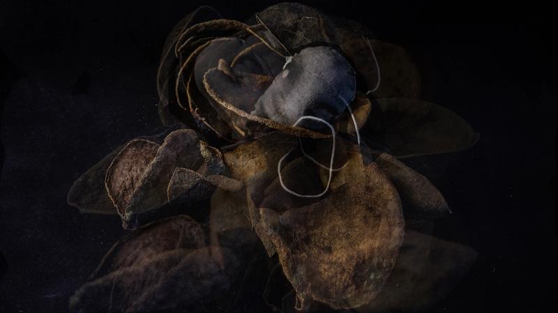 Strategies for Departure (Vignettes from Suitcase Wanderers)