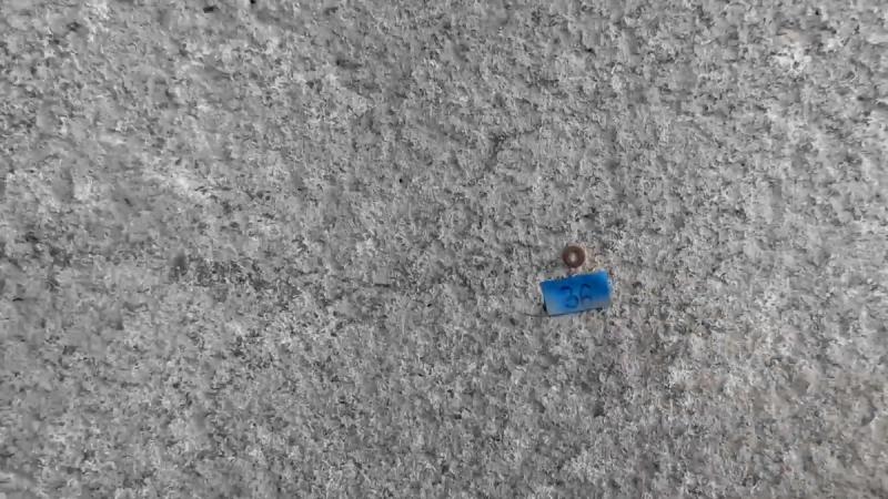 Being Numerous: Averno