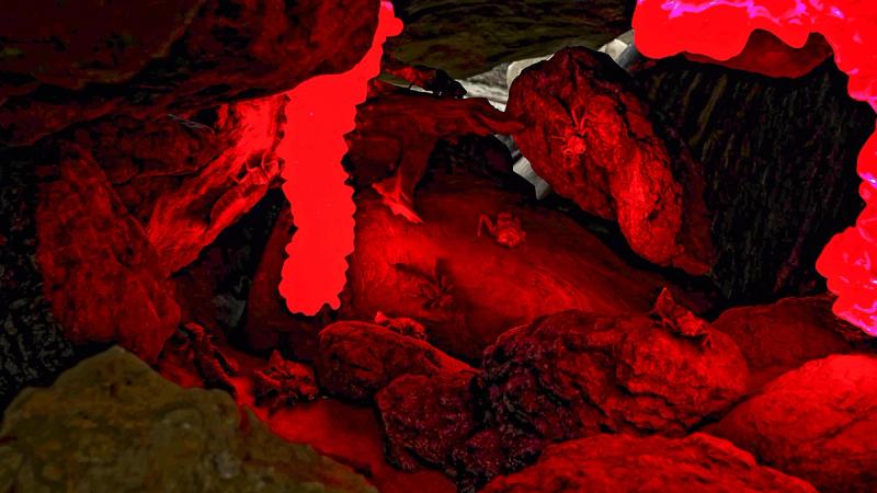 Vestige - Digital remnants