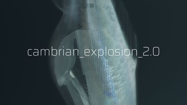 cambrian_explosion_2.0
