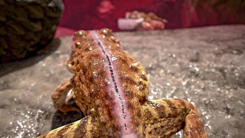 Vestige - Digital remnants