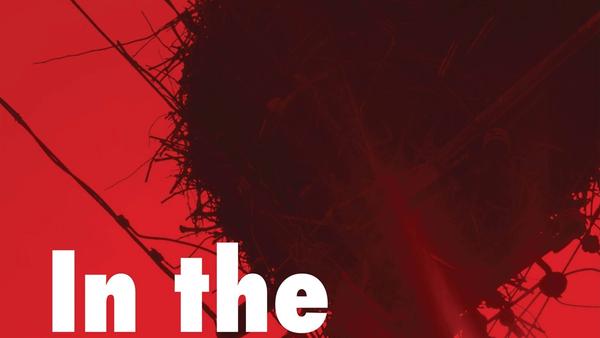 In the animal's skin