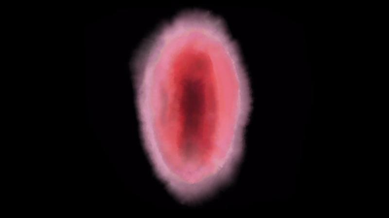 Will You Come With Me?