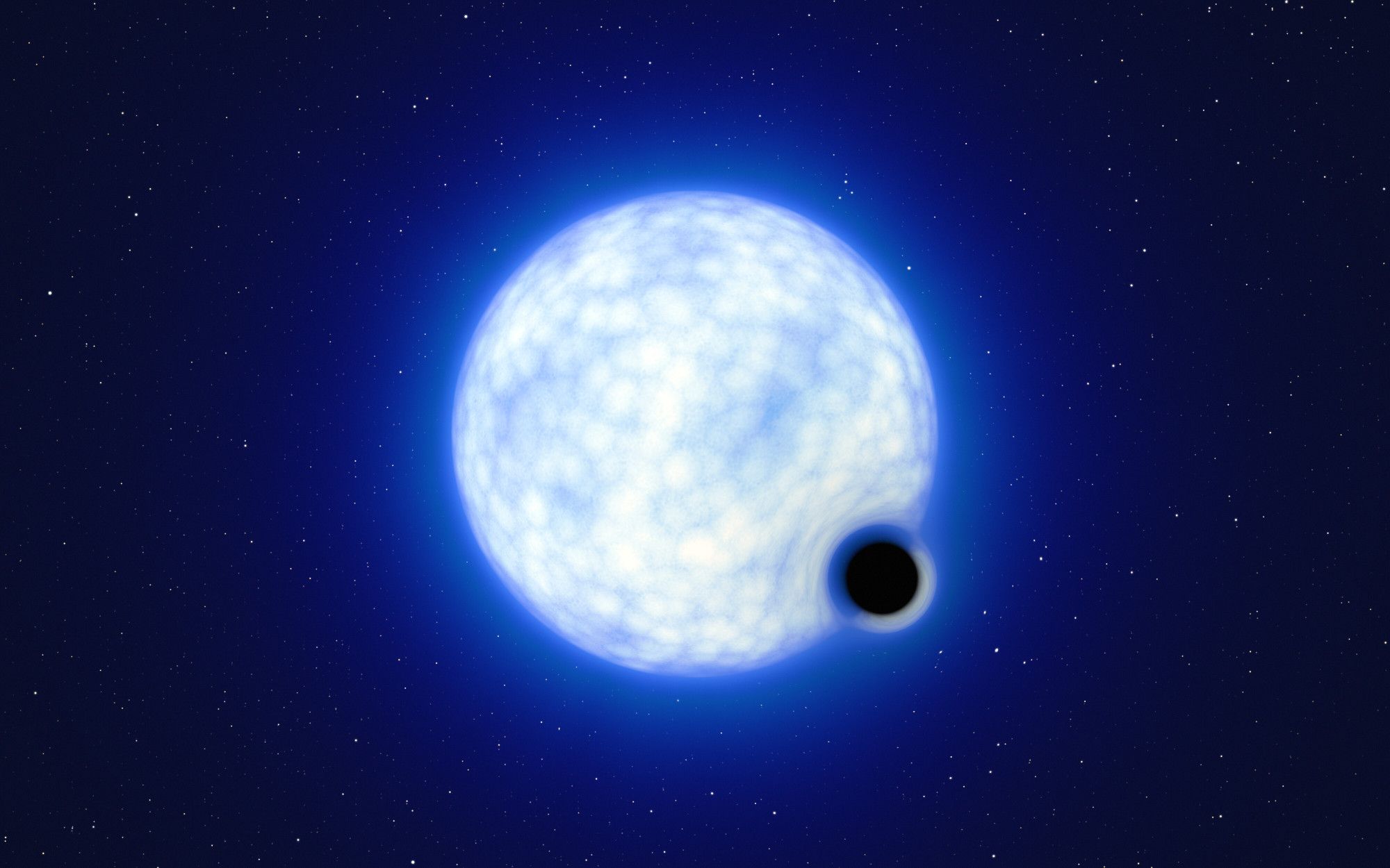 This artist’s impression shows what the binary system VFTS 243 might look like if we were observing it up close. The system, which is located in the Tarantula Nebula in the Large Magellanic Cloud, is composed of a hot, blue star with 25 times the Sun’s mass and a black hole, which is at least nine times the mass of the Sun. The sizes of the two binary components are not to scale: in reality, the blue star is about 200 000 times larger than the black hole. Note that the 'lensing' effect around the black hole is shown for illustration purposes only, to make this dark object more noticeable in the image. The inclination of the system means that, when looking at it from Earth, we cannot observe the black hole eclipsing the star.
