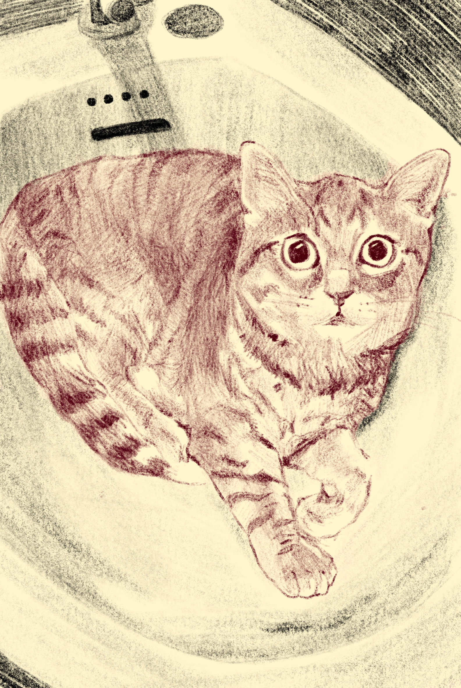 Casper the cat