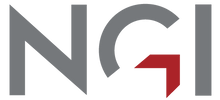 NGI logo icon