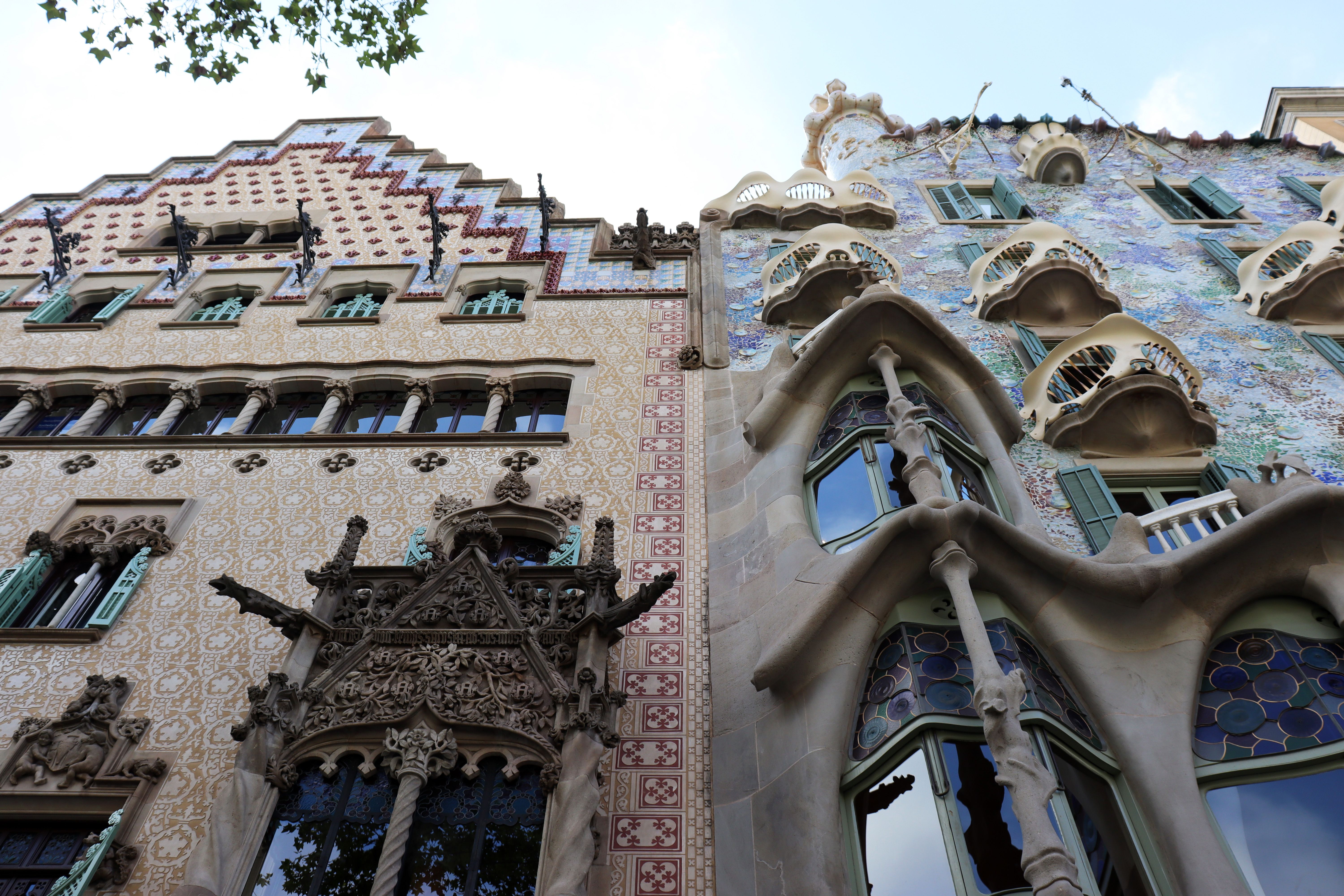 Dat Nguyen Photography