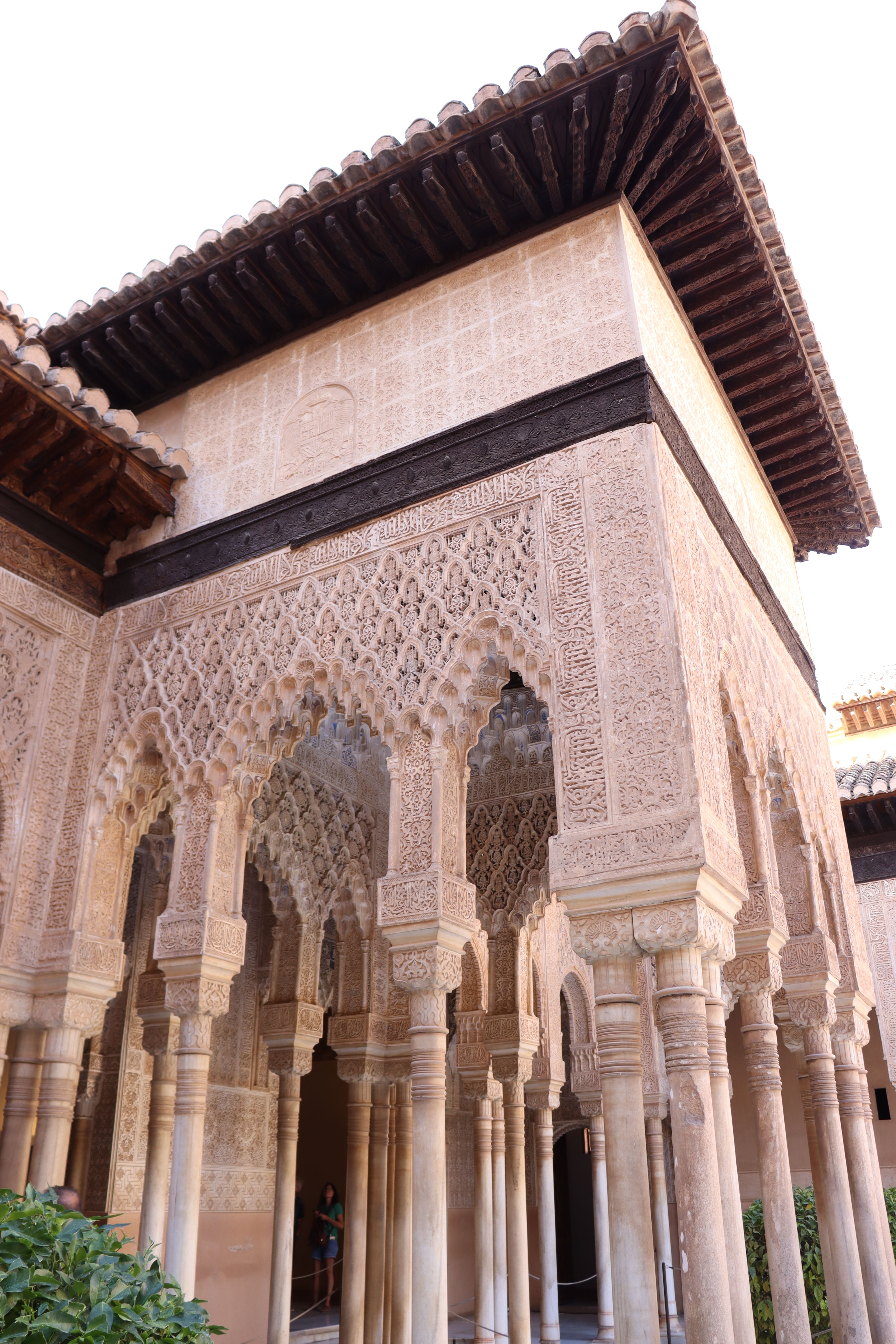 Dat Nguyen Photography