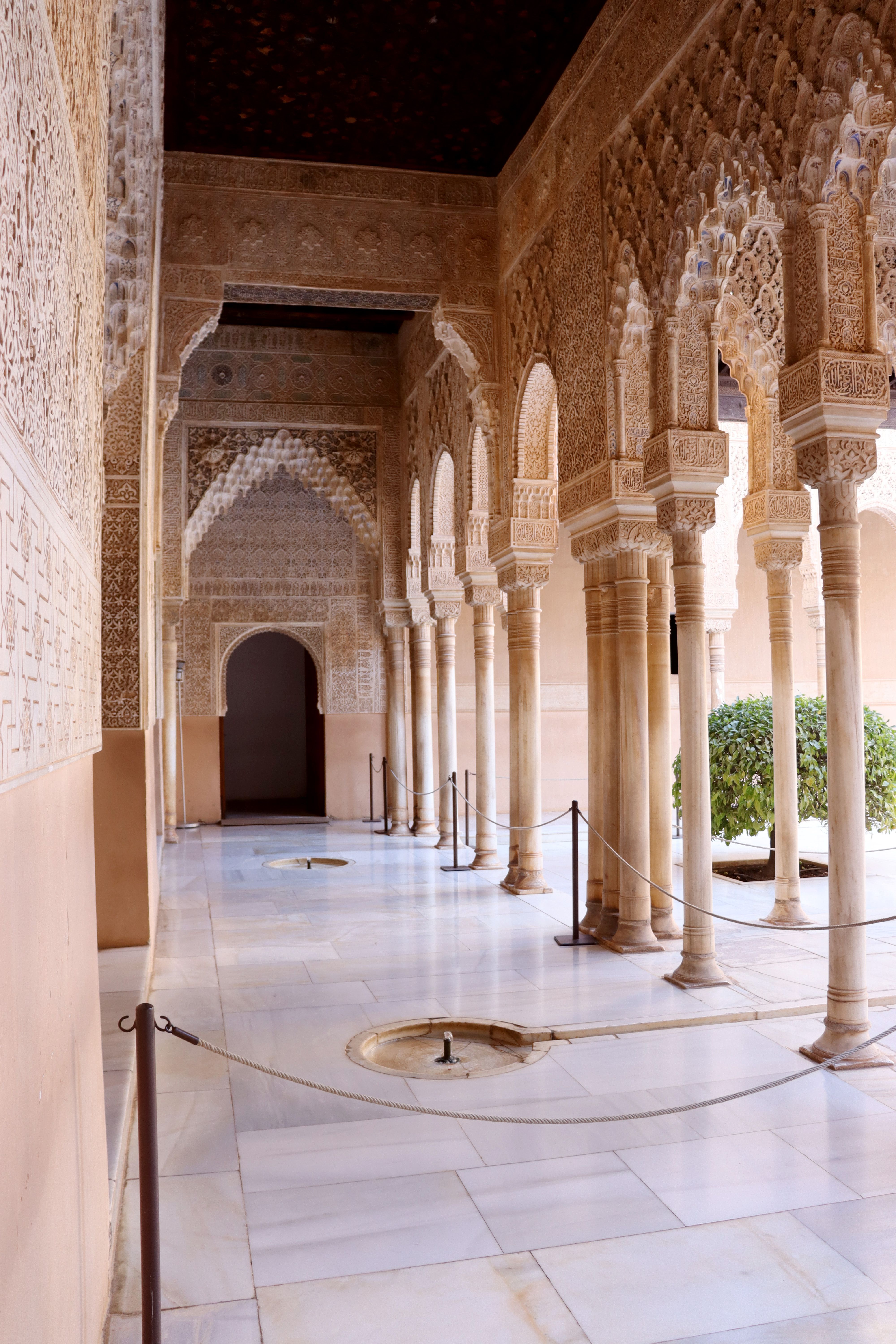 Dat Nguyen Photography