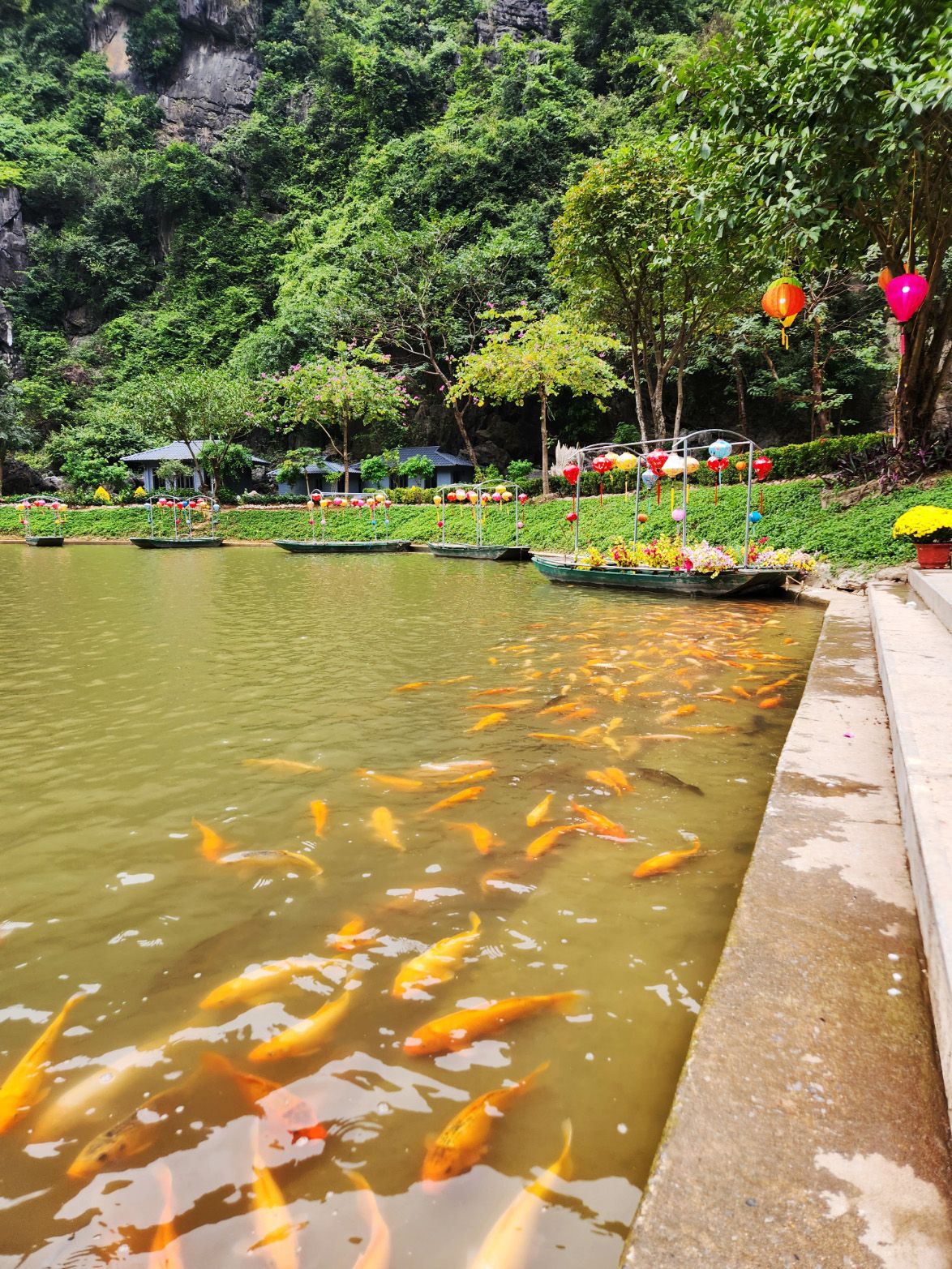 Dat Nguyen Photography