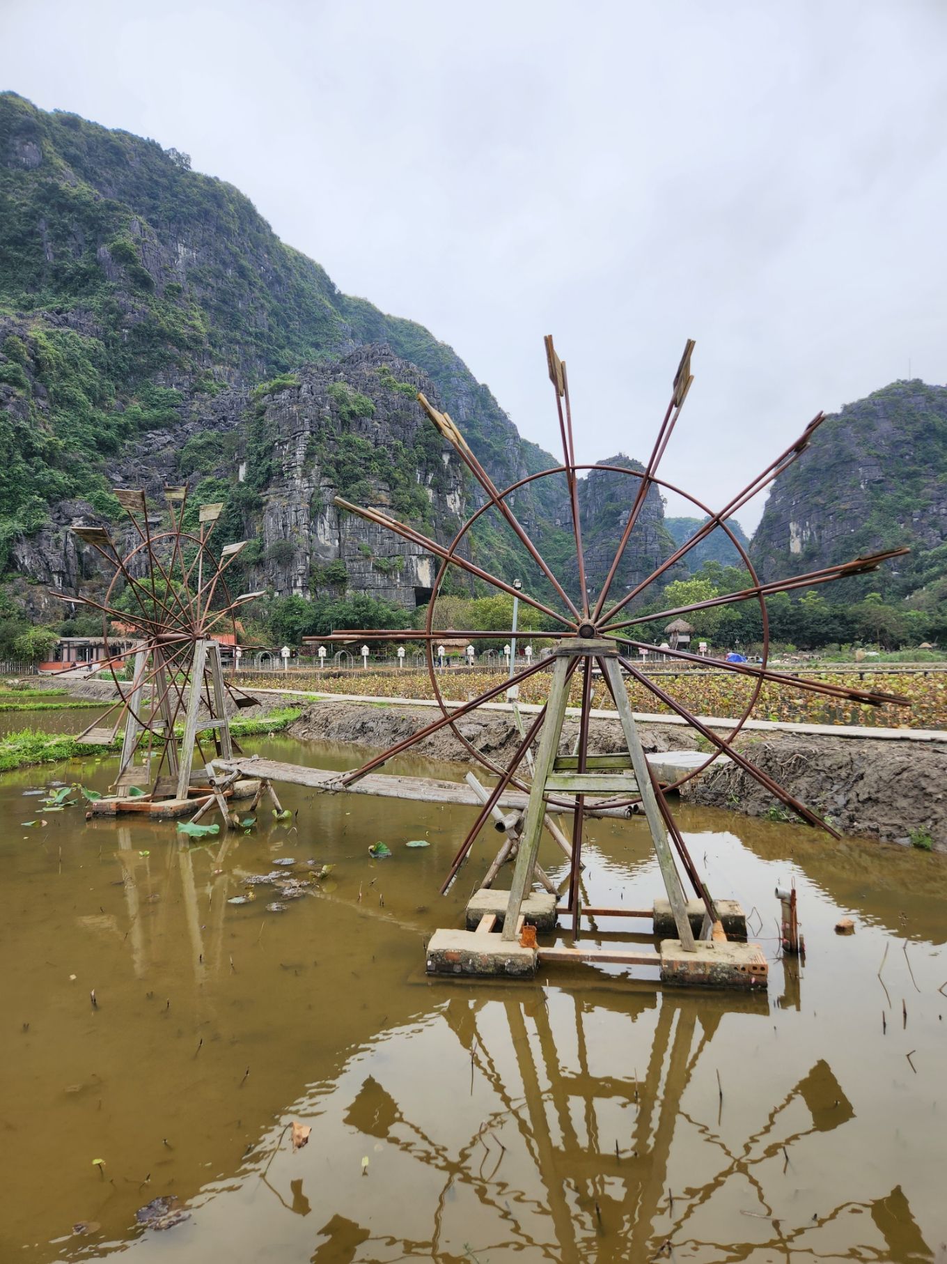 Dat Nguyen Photography