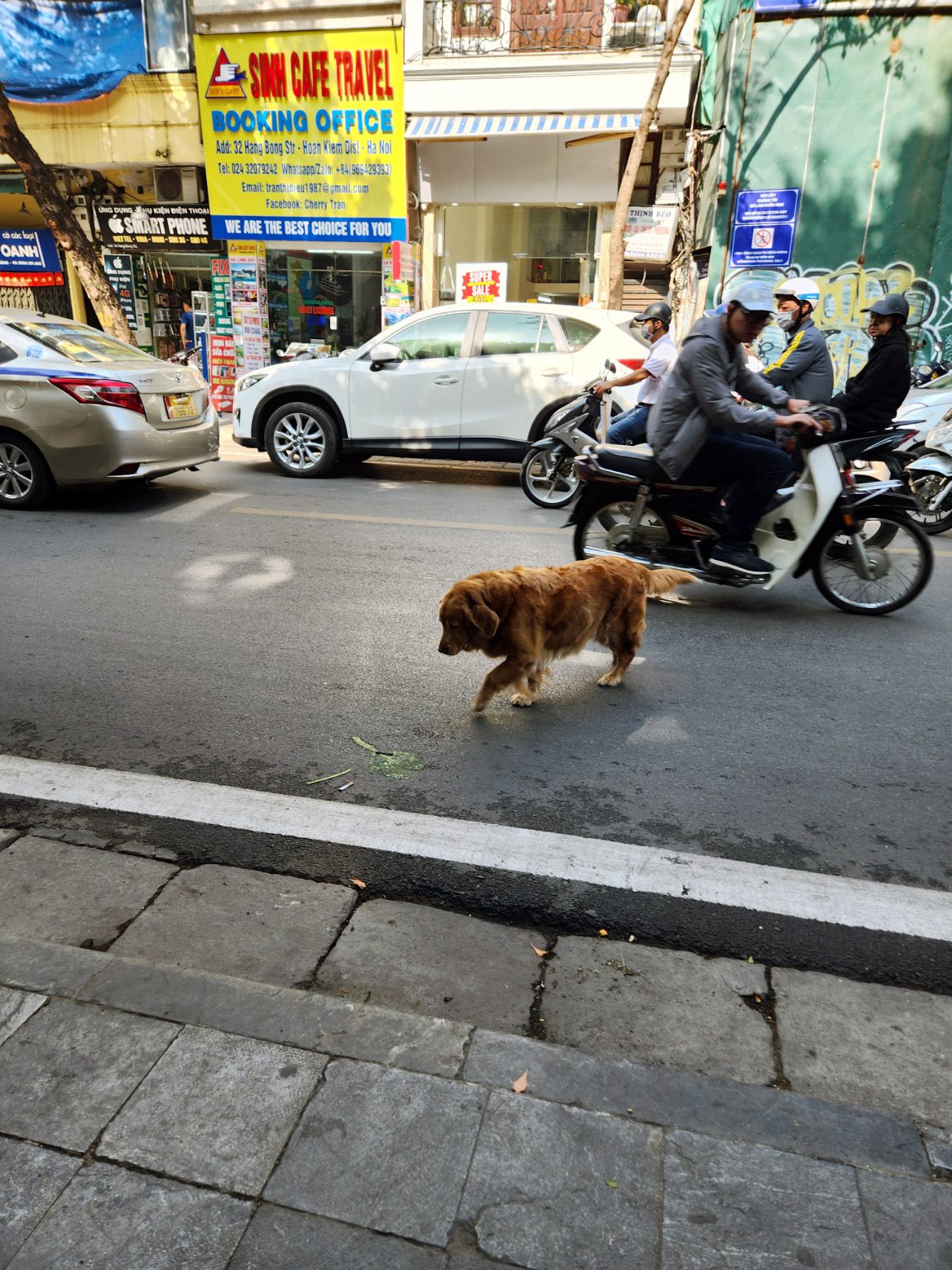 Dat Nguyen Photography