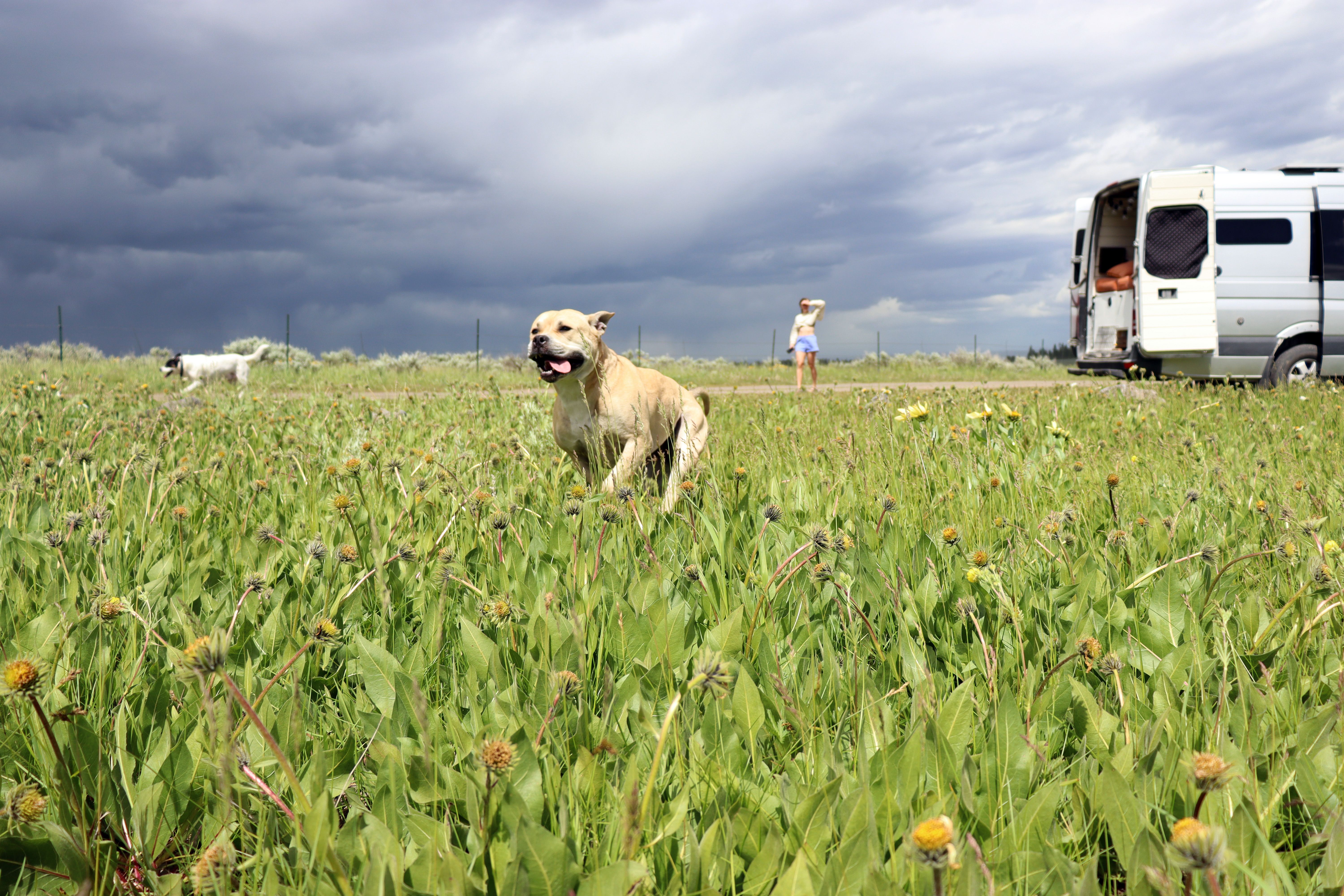 Dat Nguyen Photography