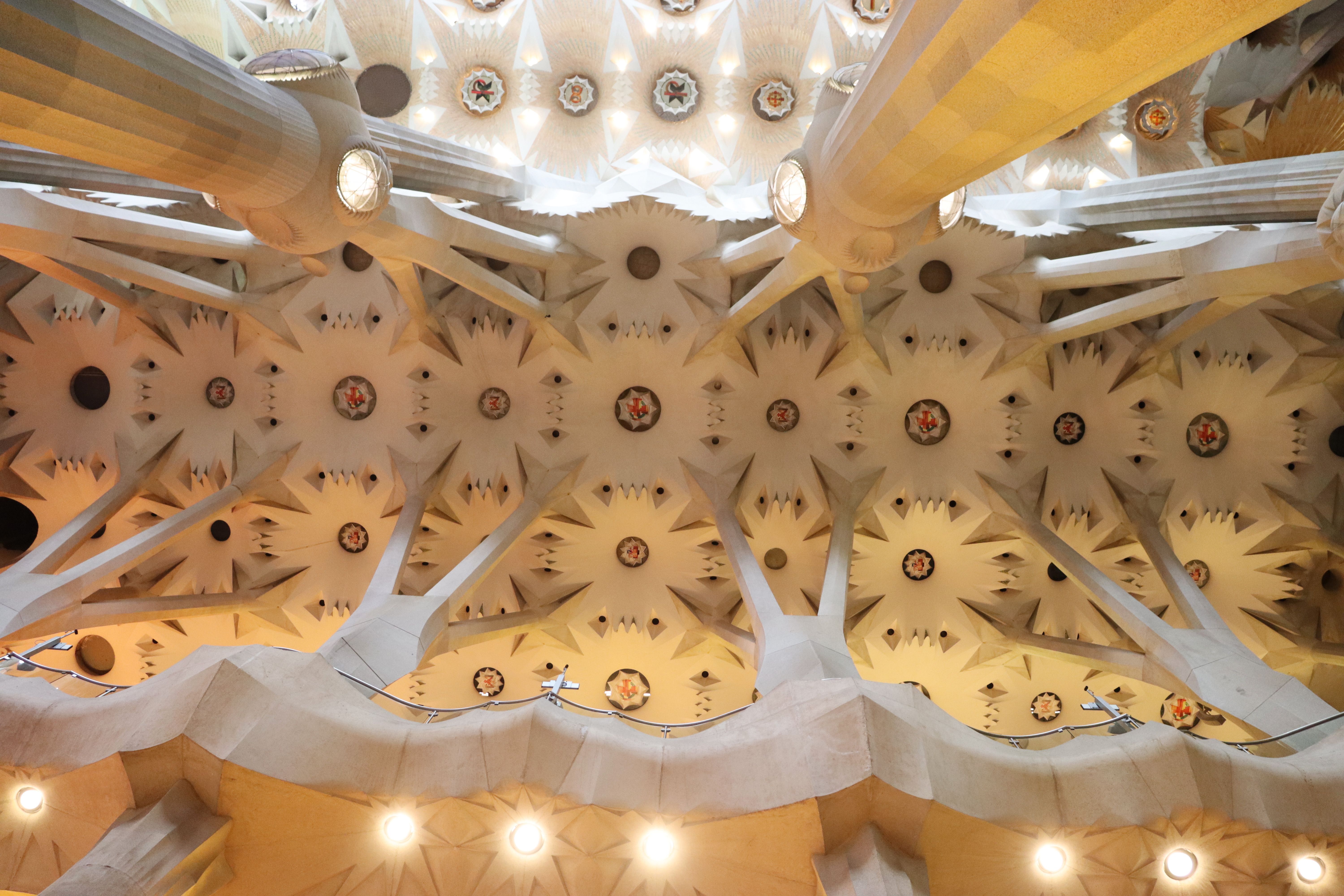 Dat Nguyen Photography