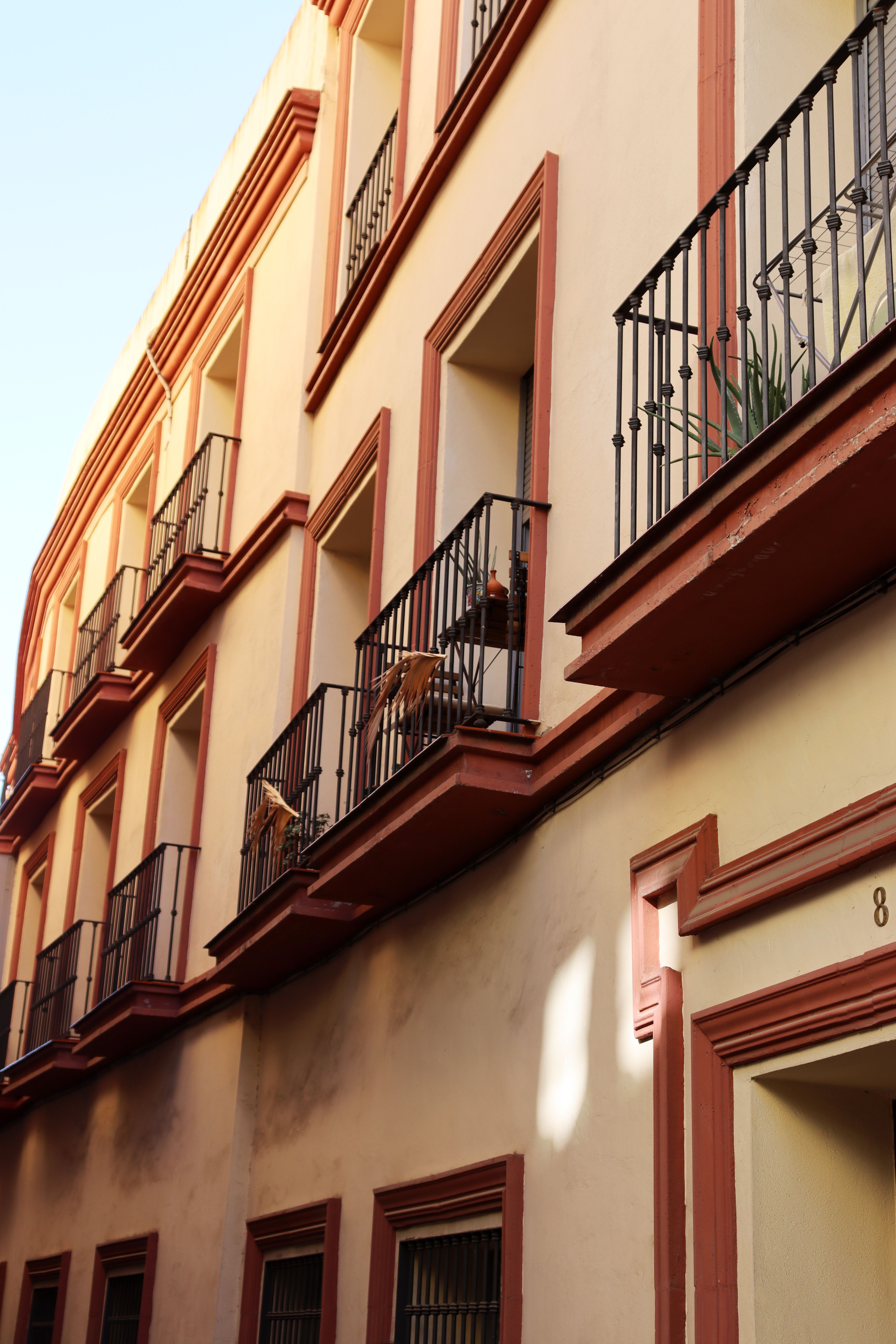 Dat Nguyen Photography