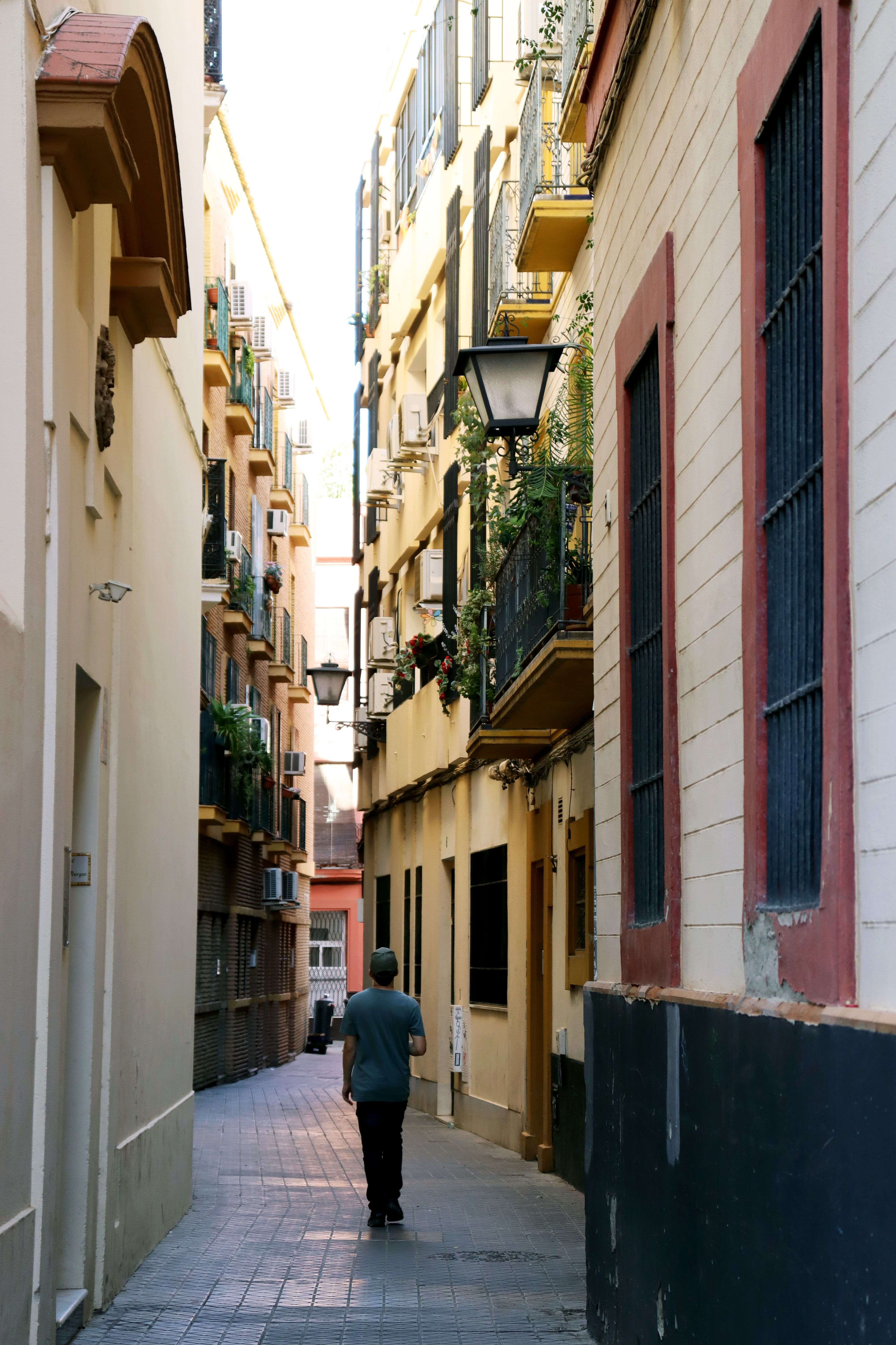 Dat Nguyen Photography