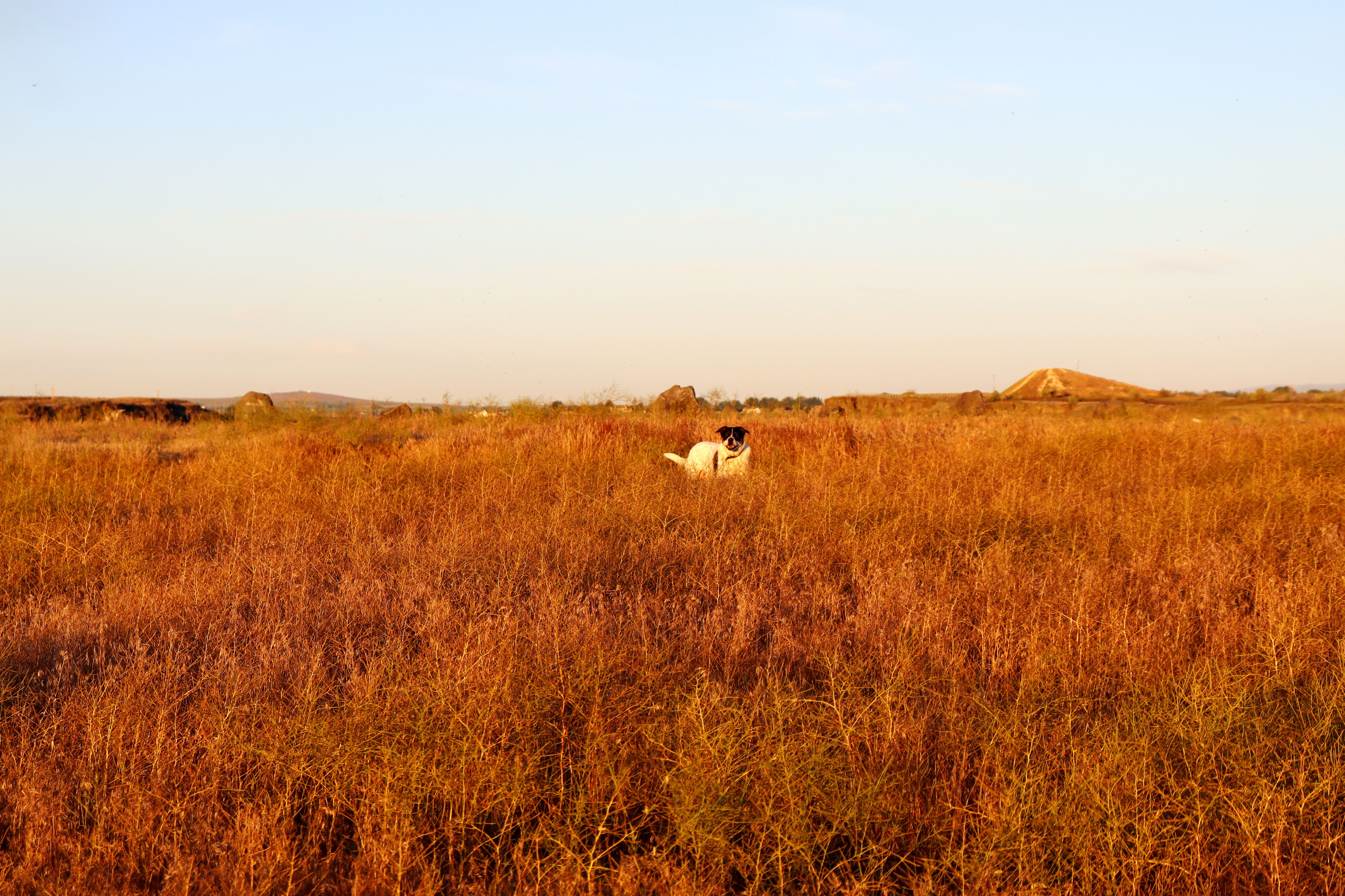 Dat Nguyen Photography