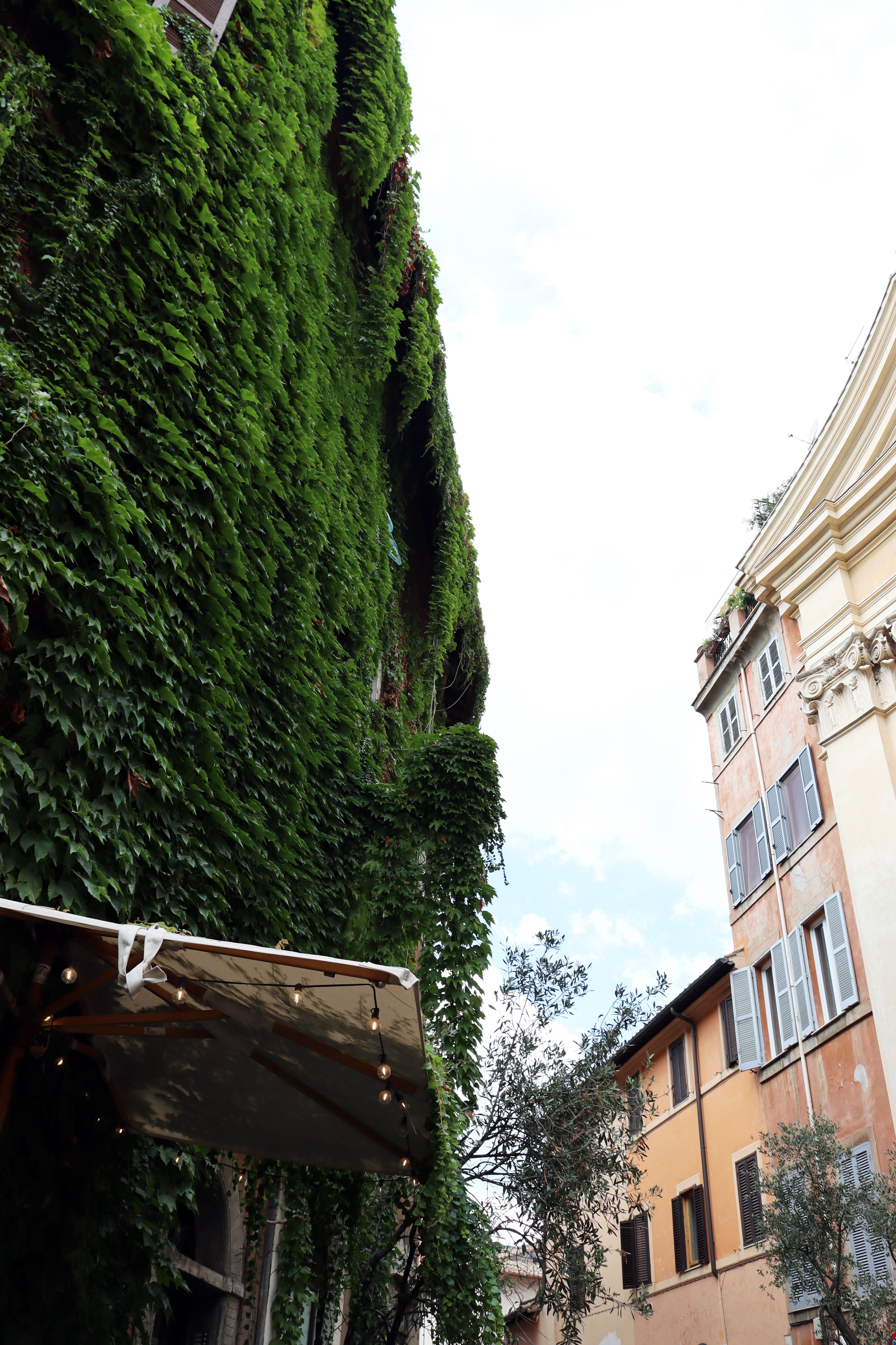 Dat Nguyen Photography