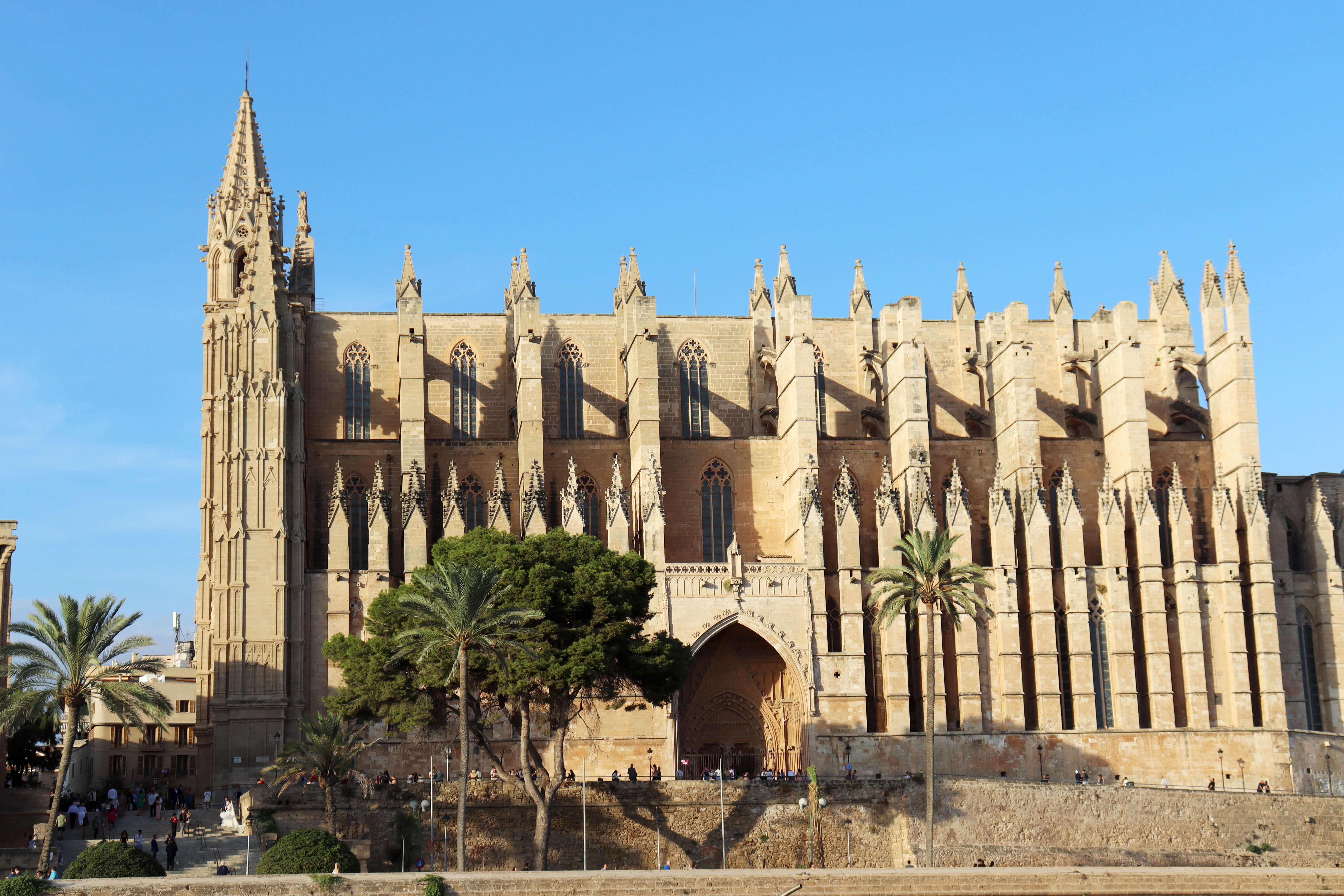 Dat Nguyen Photography