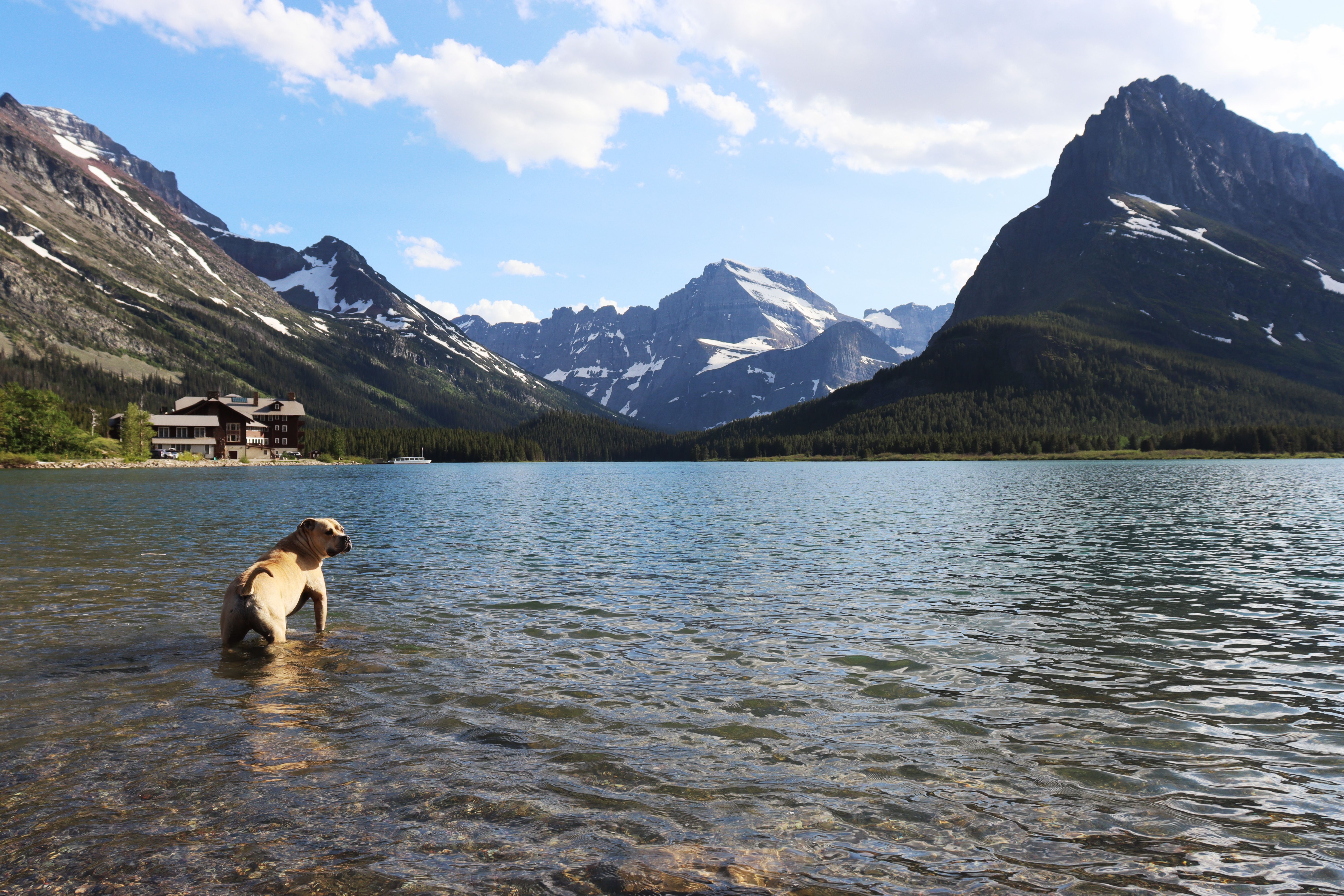 Dat Nguyen Photography