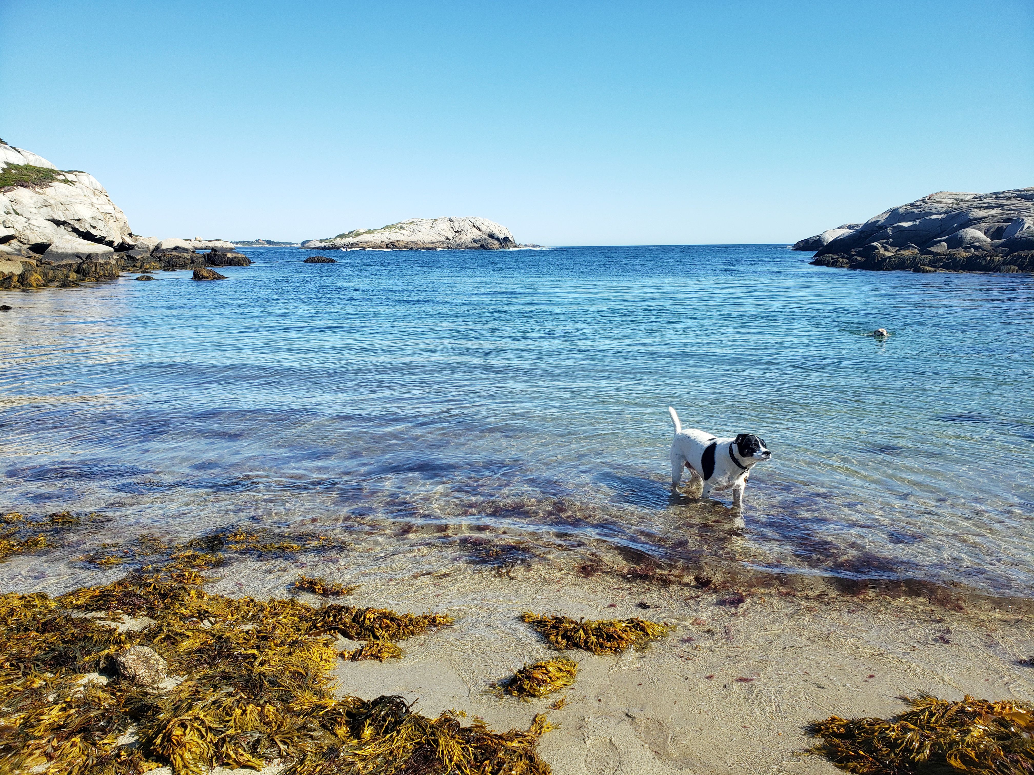 Dat Nguyen Photography