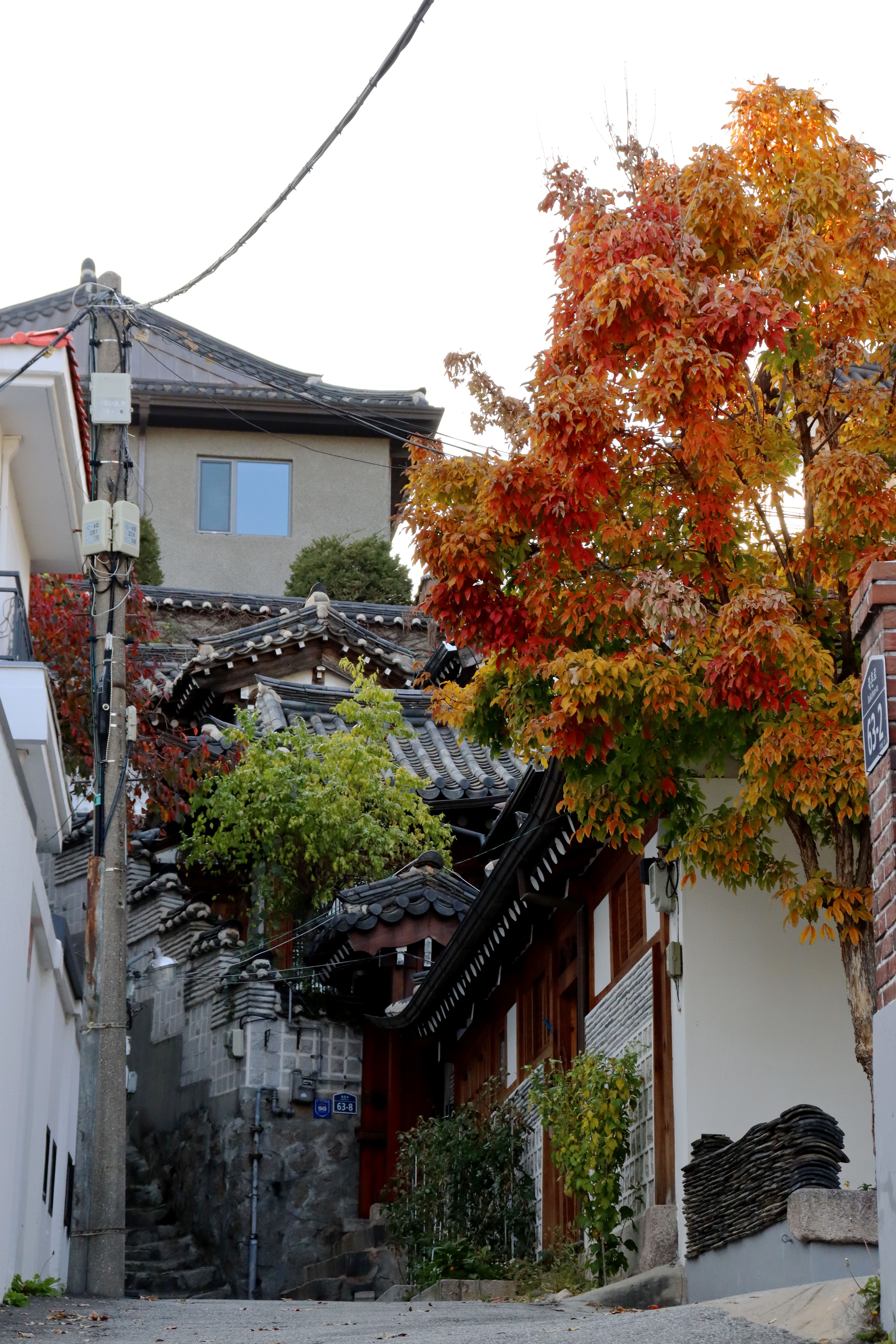 Dat Nguyen Photography