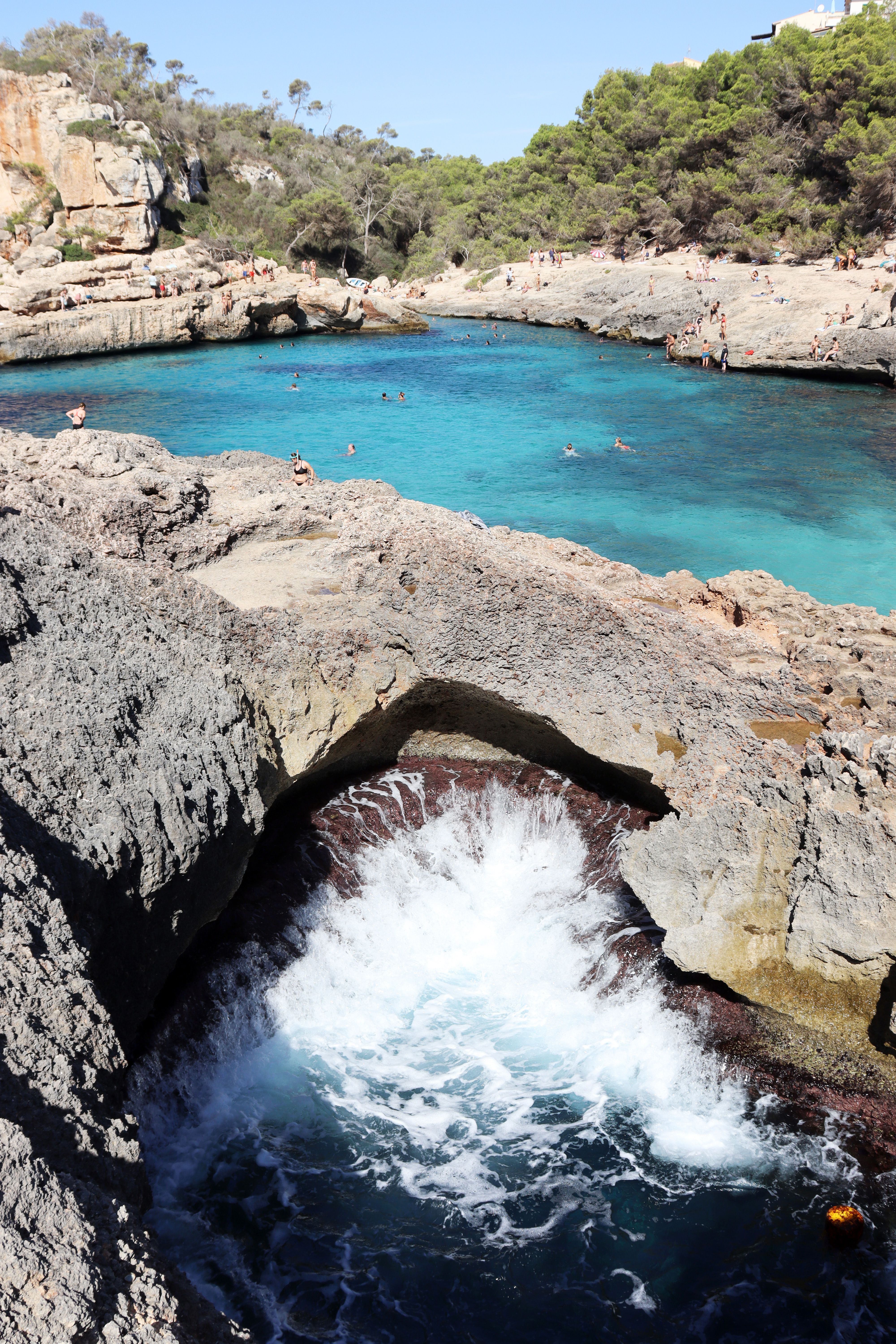 Dat Nguyen Photography