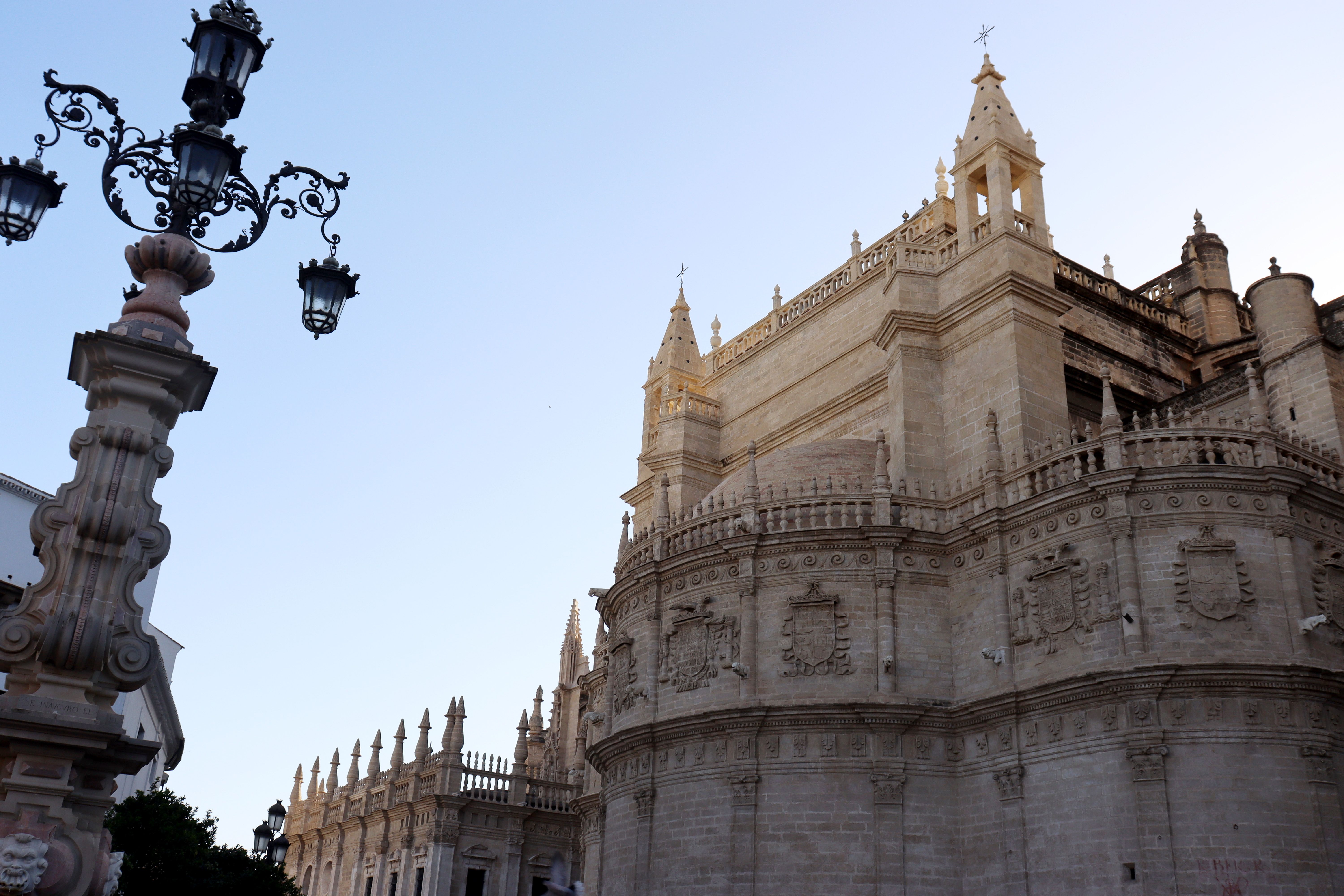 Dat Nguyen Photography